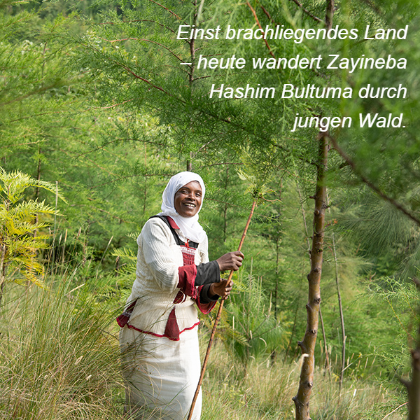  Zayineba
Hashim Bultuma wandert durch einen jungen Wald.