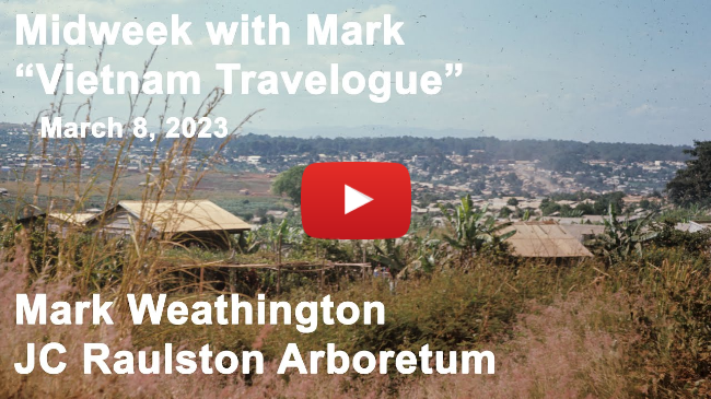 Midweek with Mark - "Vietnam Travelogue"