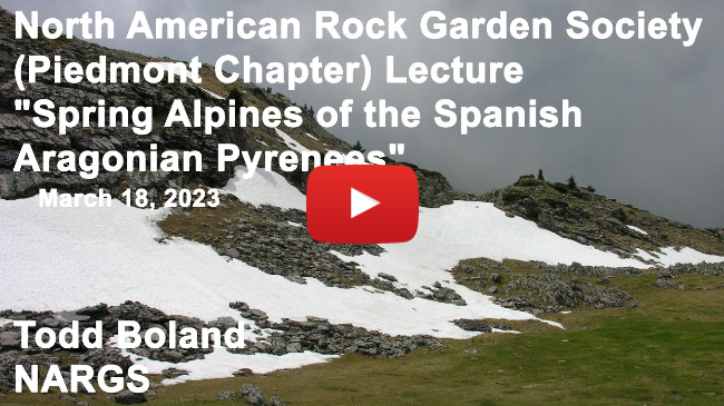 NARGS Talk - "Spring Alpines of the Spanish Aragonian Pyrenees"