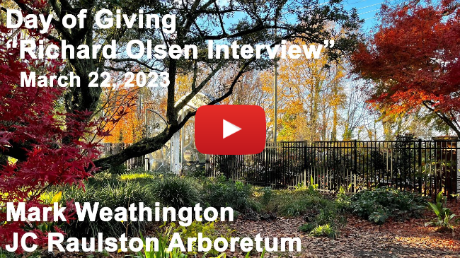 Day of Giving - "Richard Olsen Interview"