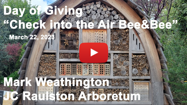 Day of Giving - "Check Into the Air Bee & Bee with Dr. Danesha Seth Carley"