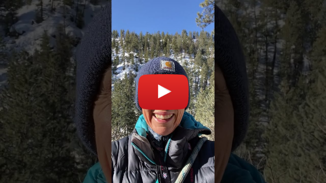 The "waiting" game of healthing The "waiting" game of healthing