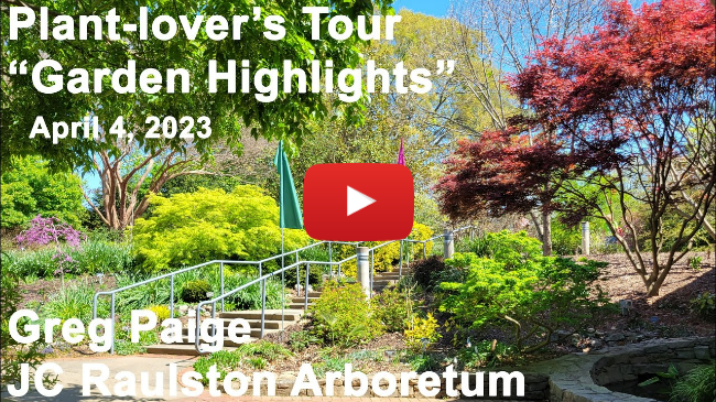 Plant-lover's Tour - "Garden Highlights"
