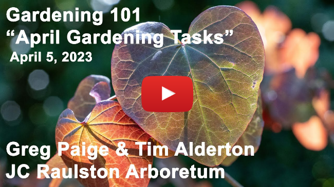 Gardening 101 - "April Gardening Tasks"