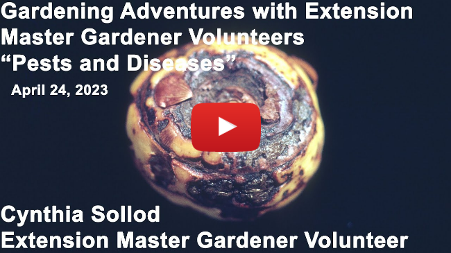 Master Gardener Lecture - "Gardening Strategies to Control Pests and Diseases"