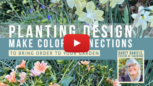 Planting Design Tips — Making Color Connections in Your Garden