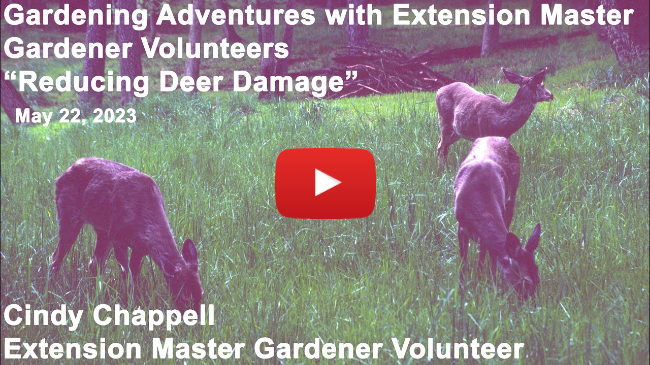 Master Gardener Lecture - "Reducing Deer Damage"