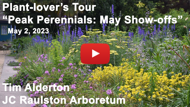Plant-lover's Tour - "Peak Perennials: May Show-offs"