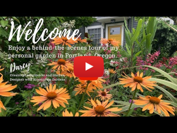 Behind the Scenes Tour of Bloomtown, My Personal Garden