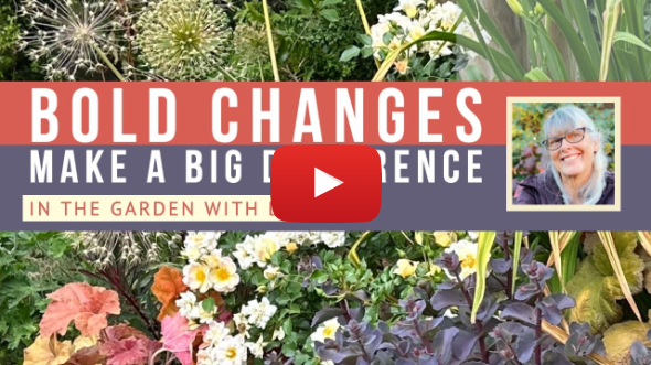 Bold Change Makes a Big Difference in My Front Yard Garden