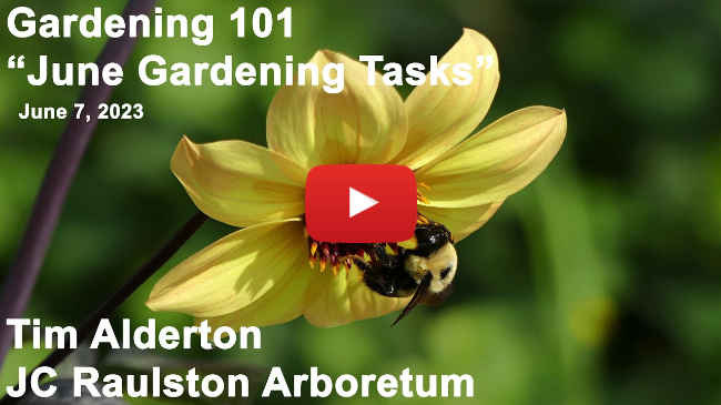 Gardening 101 - "June Gardening Tasks"