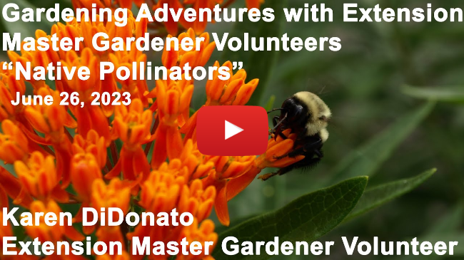 Master Gardener Lecture - "Native Pollinators"