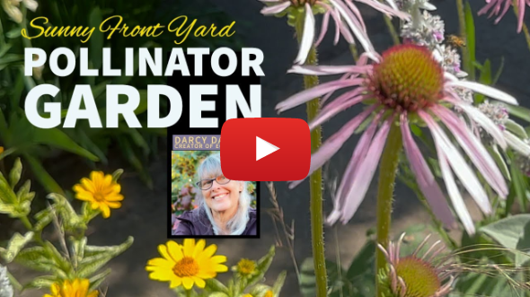 My Sunny Front Yard Pollinator Garden in Portland, Oregon