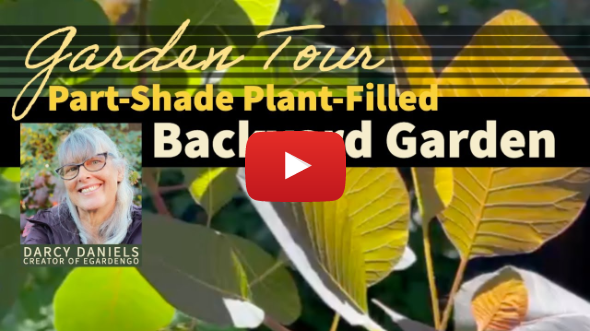 Garden Tour: Part Shade, Plant-FIlled Backyard Garden in Portland, OR