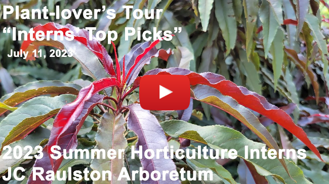 Plant-lover's Tour - "Interns' Top Picks"