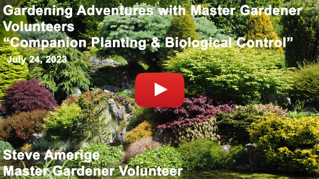 Master Gardener Talk - "Protecting our Gardens: Companion Planting, Biological & Structural Control"