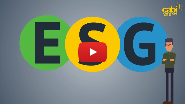 ESG - hvad er det?