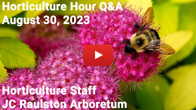 JCRA Horticulture Hour - August 30, 2023
