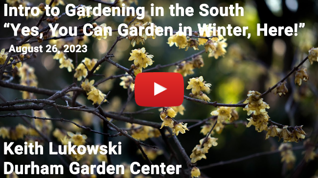 Intro to Gardening in the South - "Yes, You Can Garden in Winter, Here!" - Keith Lukowski