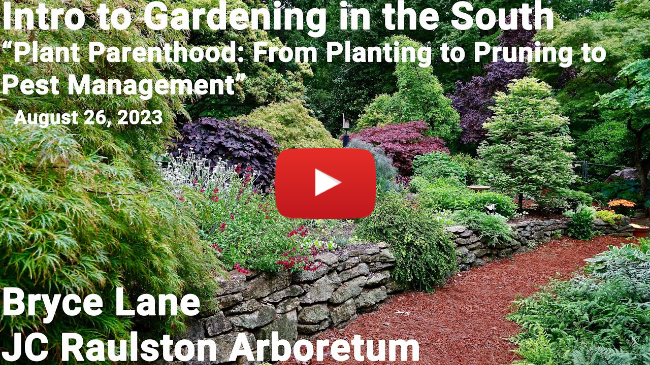 Intro to Gardening in the South - "From Planting to Pruning to Pest Management" - Bryce Lane