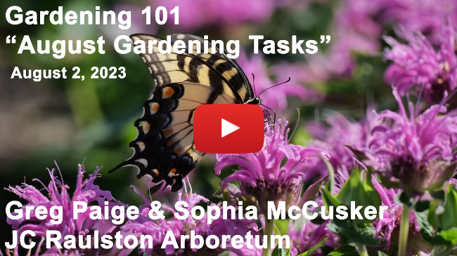 Gardening 101 - "August Gardening Tasks"