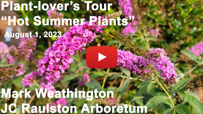 Plant-lover's Tour - "Hot Summer Plants"