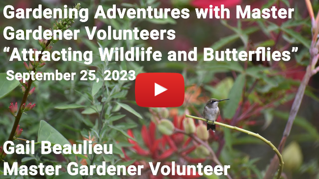 Master Gardener Talk - "Attracting Wildlife and Butterflies"