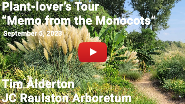 Plant-lover's Tour - "Memo from the Monocots"