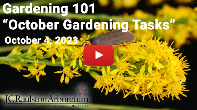 Gardening 101 - "October Gardening Tasks"