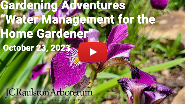 Master Gardener Talk - "Water Management for the Home Gardener"