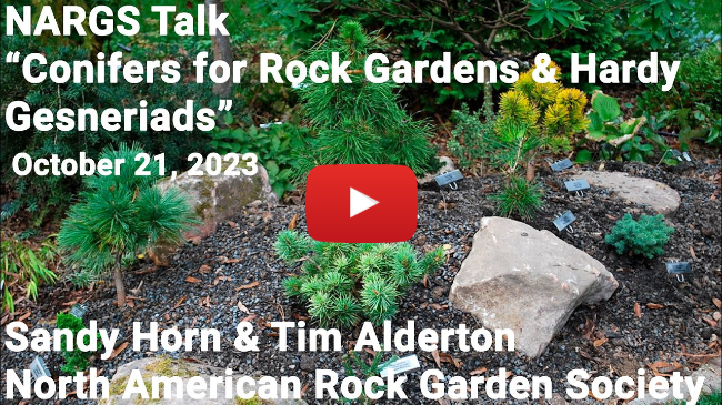 NARGS Talk - Sandy Horn - "Conifers for Rock Gardens"