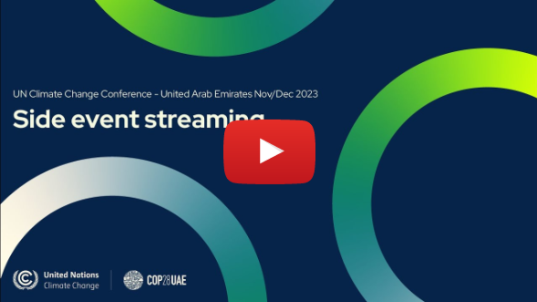 Credible and accountable climate commitments: we can't do it alone
