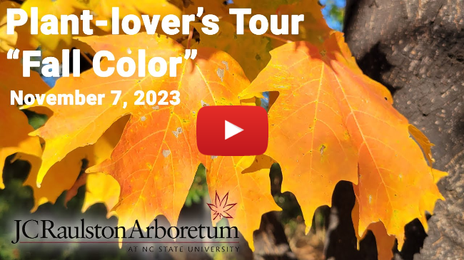 Plant-lover's Tour - "Fall Color"