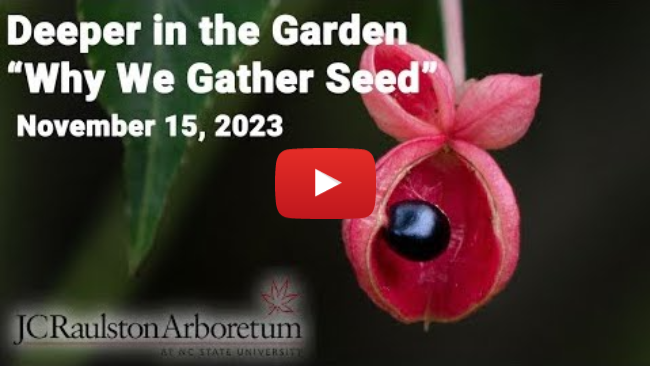 Deeper in the Garden - "Why We Gather Seed"