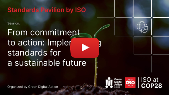 From commitment to action: Implementing standards for a sustainable future