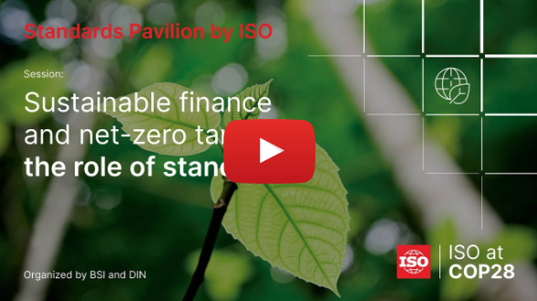 Sustainable finance and net-zero targets: the role of standards