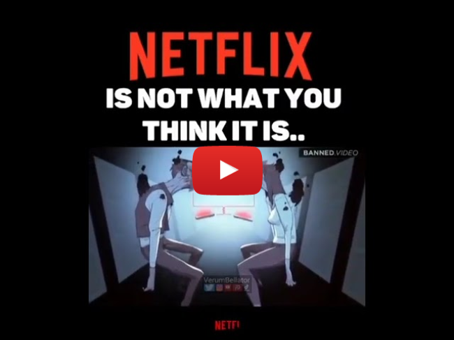 Netflix is not what you think it is