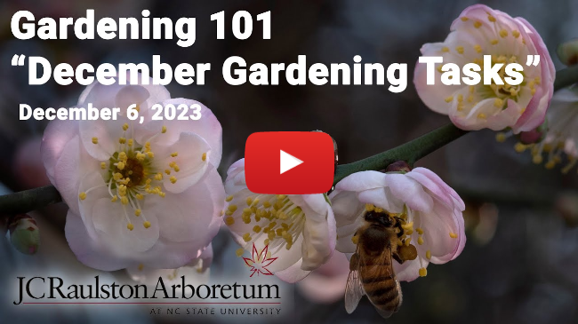 Gardening 101 - "December Gardening Tasks"