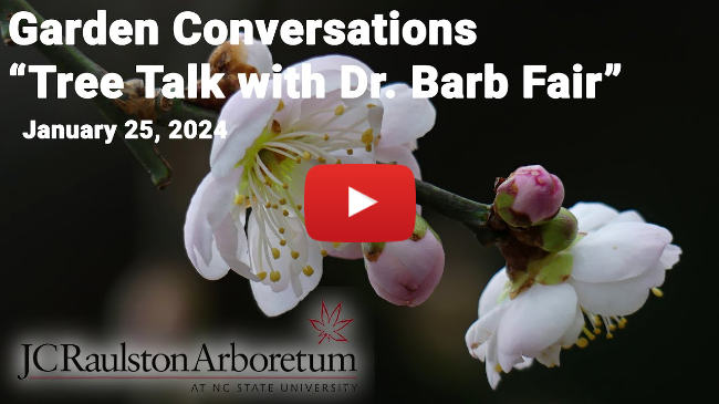 Garden Conversations - "Tree Talk with Dr. Barb Fair"
