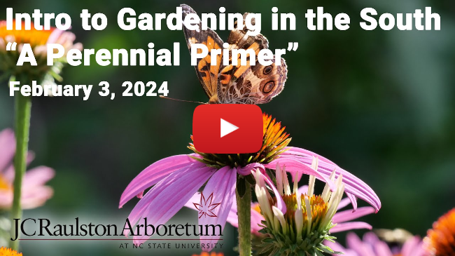 Intro to Gardening in the South - "A Perennial Primer" - Doug Ruhren