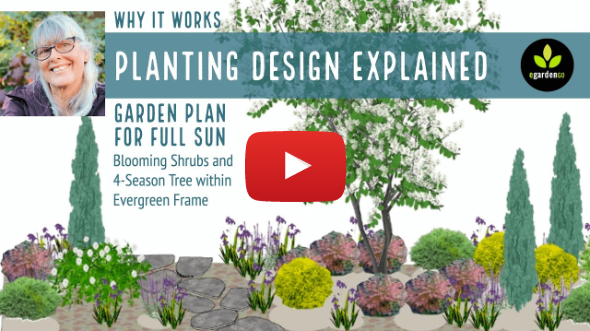 Planting Design Explained—Low-water Garden Plan for Full Sun