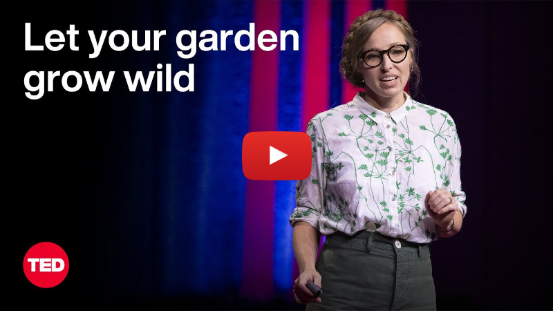 Let Your Garden Grow Wild | Rebecca McMackin | TED