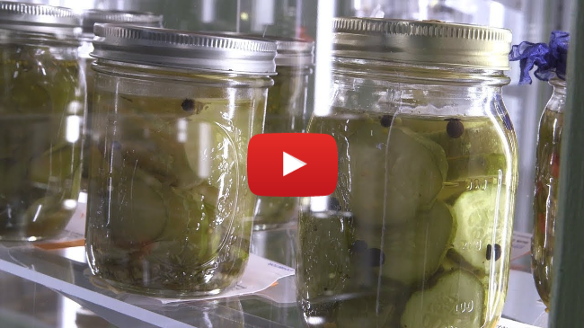 Homegrown | Make Your Own Fresh-Pack Dill Pickles