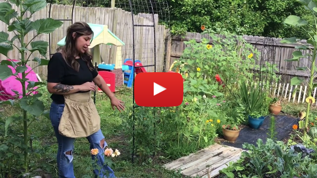 Sow & Grow Video Series: A Tour and Gardening Tips from the Wild Bloom Garden