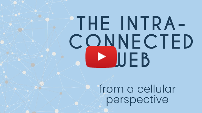 Web of Interconnected biology CCGV 9 July 2024 Web of Interconnected biology CCGV 9 July 2024