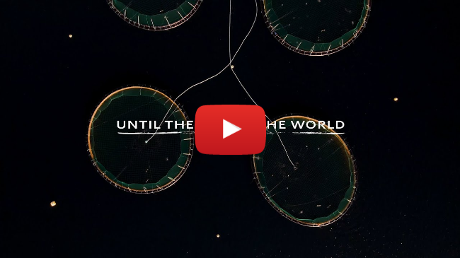 Until the End of the World (Ita, 2024) - Trailer