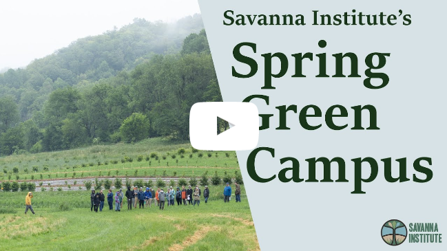 Savanna Institute’s Campus in Spring Green, Wisconsin | Agroforestry Demonstration Farm Tour