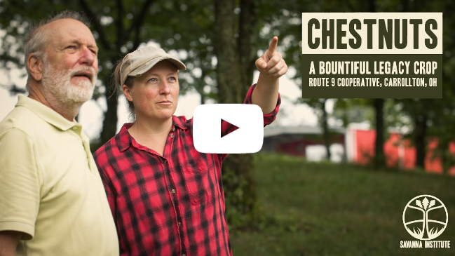 Chestnuts, A Bountiful Legacy Crop | Route 9 Cooperative, Carrollton, OH