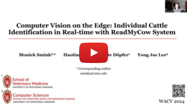 Computer Vision on the Edge: Individual Cattle Identification in Real-time with ReadMyCow System