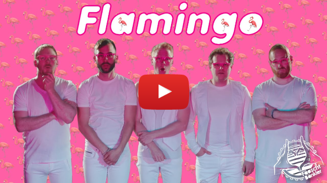 Fäaschtbänkler - Flamingo 🦩